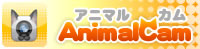 animalcam banner.jpg